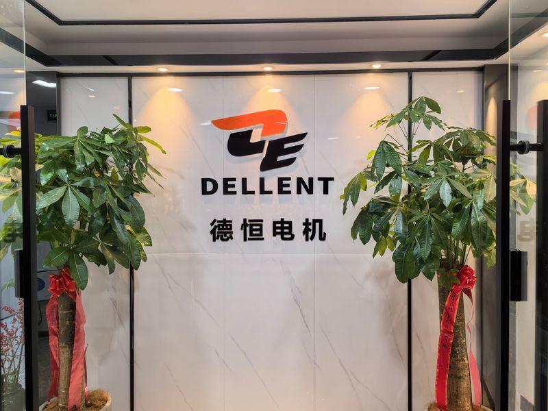 ประเทศจีน Fuan Dellent Electric &amp; Machinery Co., Ltd. รายละเอียด บริษัท